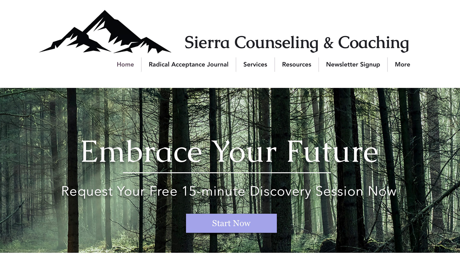 Sierra Counseling & Coaching - Web development on Wix