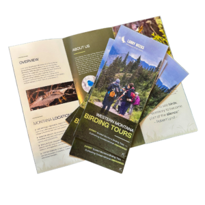Example of designed and printed small business brochure