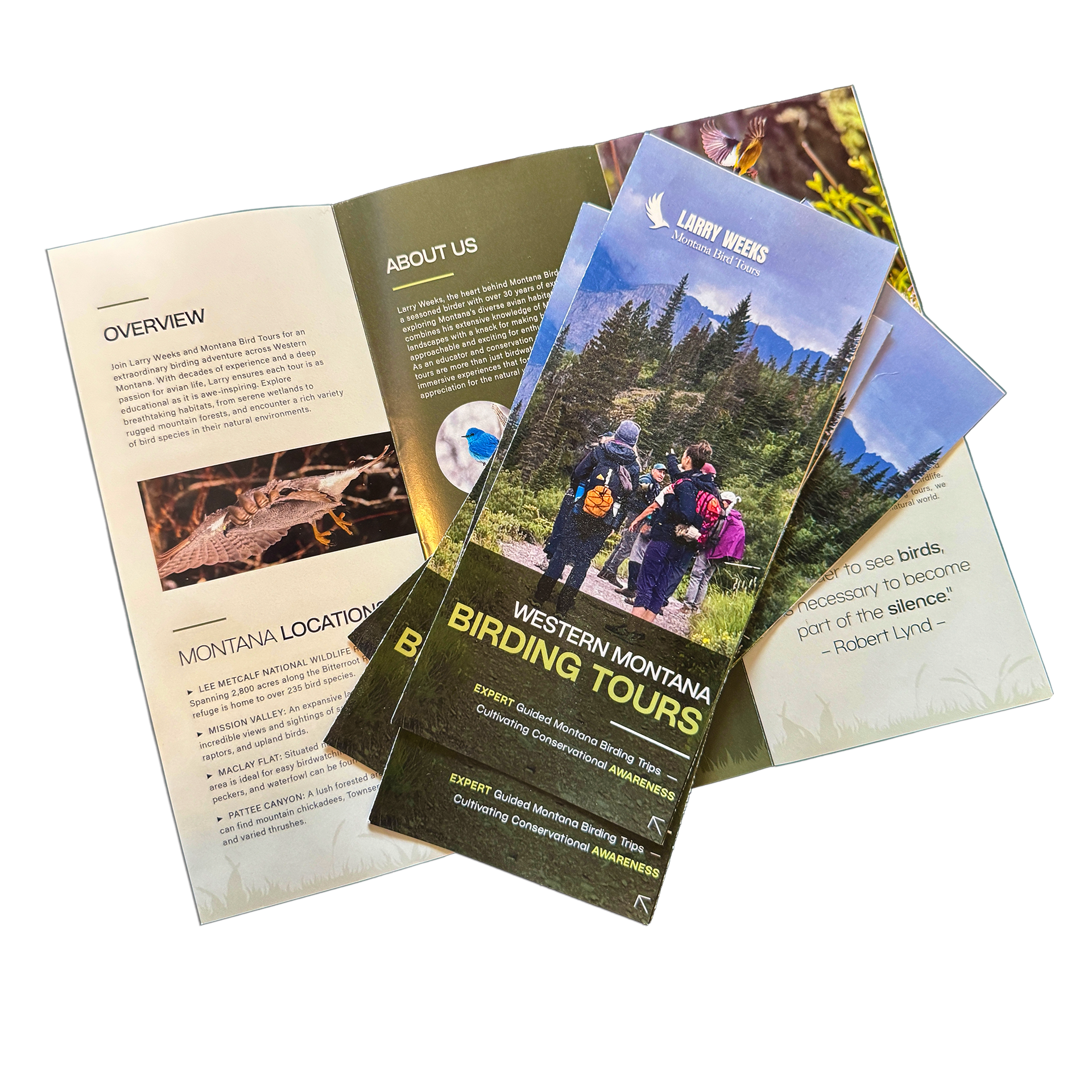 brochure-print-marketing_Stigma-M&D Example of designed and printed small business brochure