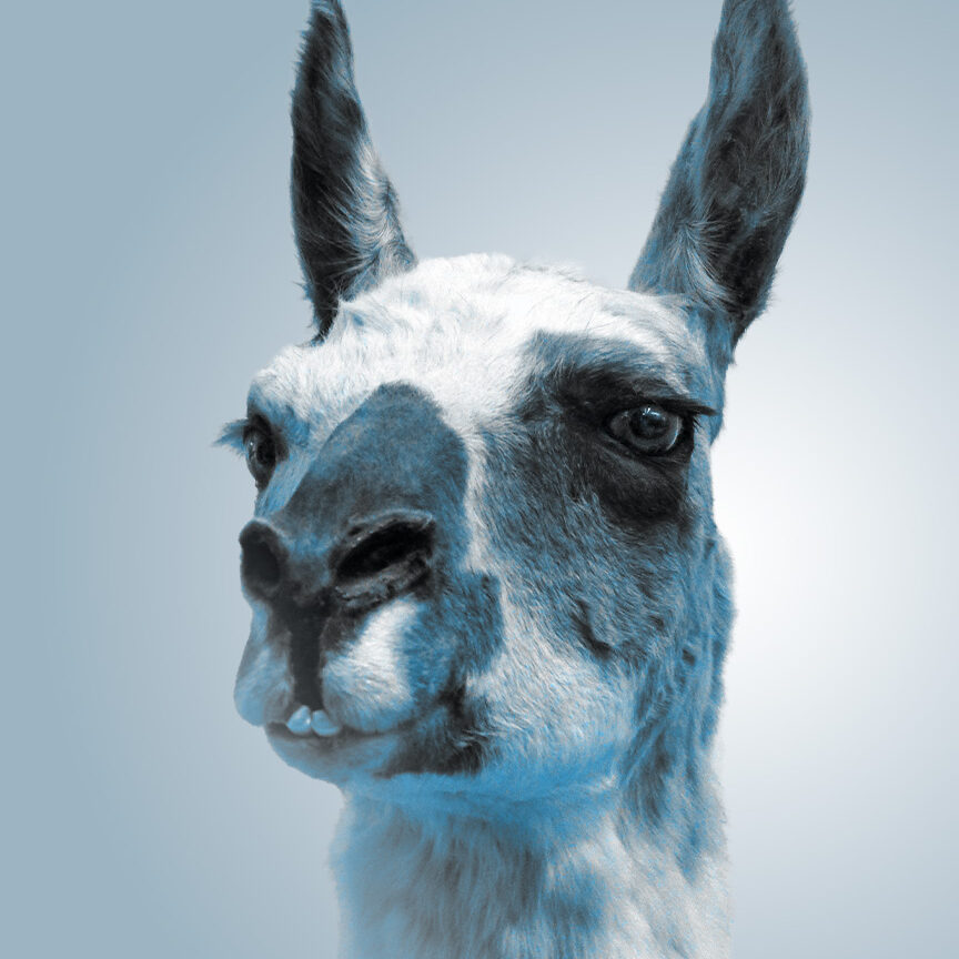Mobile llama bg 2 Mobile llama bg 2